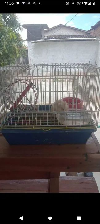 Gaiola de hamster já com hamster