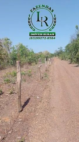 Fazenda 138 Alqueires Próximo a Palmas - Foto 2