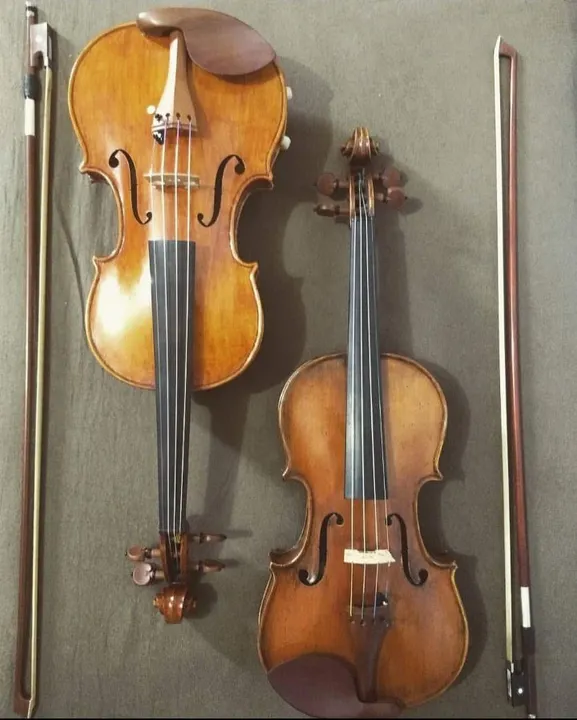 Violino Artesanal de Luthier - 2013