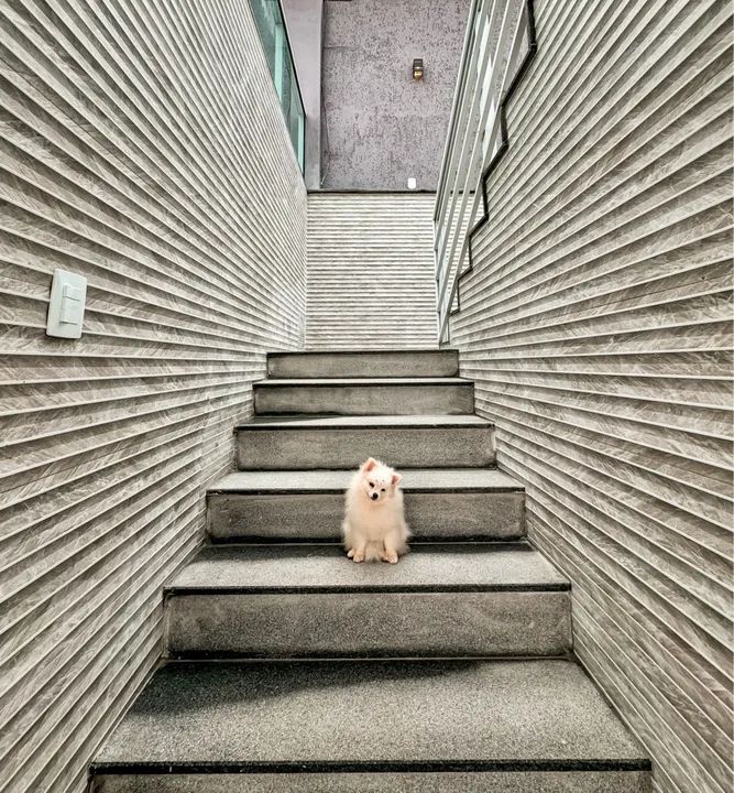 Casa de praia Ubu, com belíssimo pôr do sol. - Foto 7