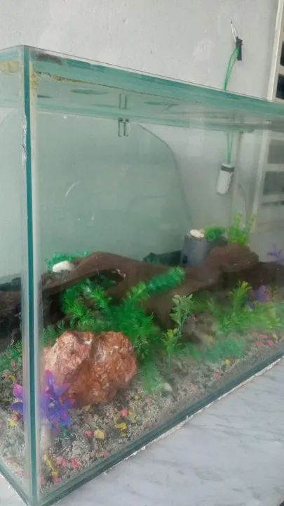 AQUÁRIO  - Foto 4