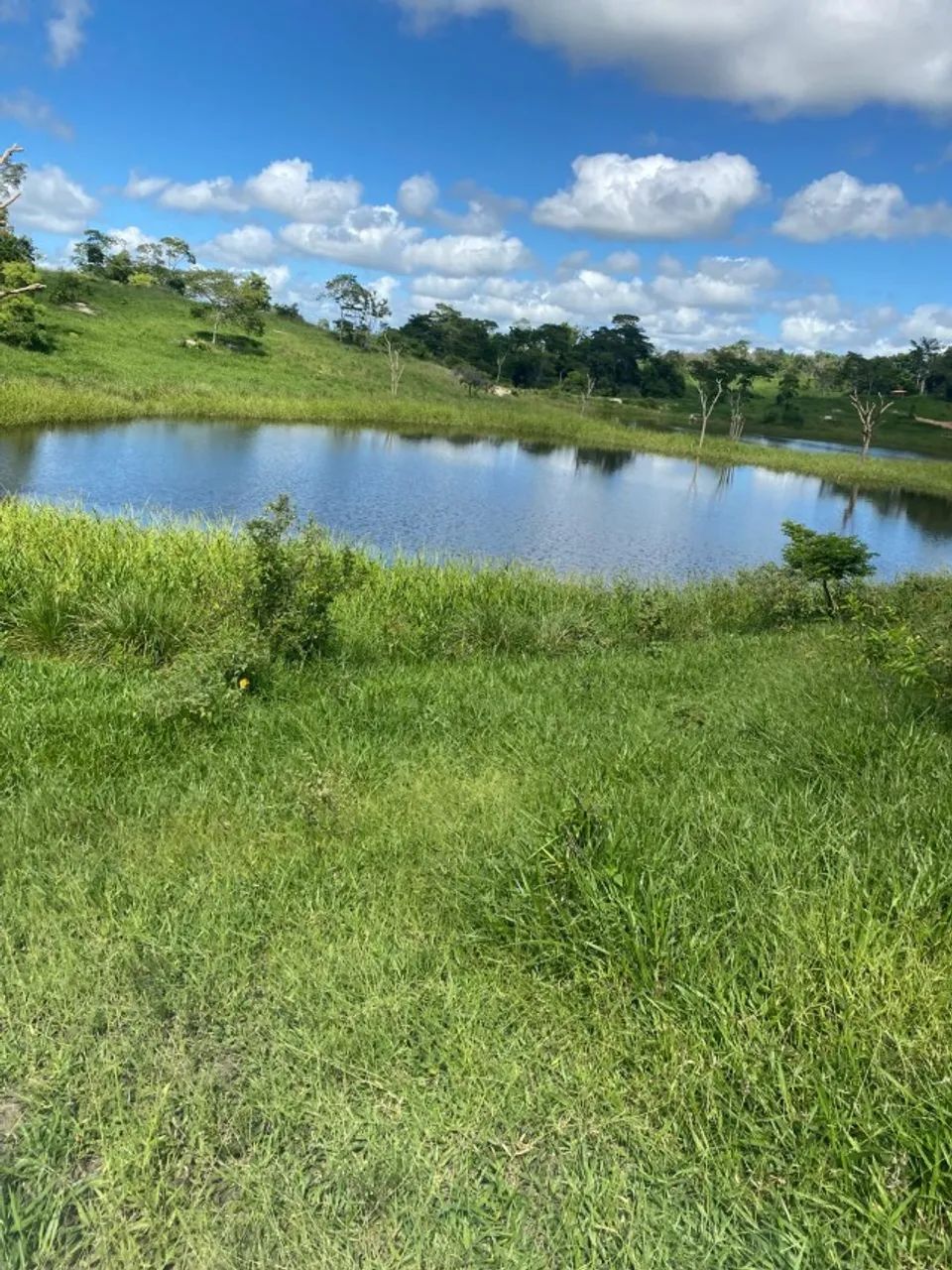 FAZENDA EM IBITUPÃ - 800 HECTARES - Foto 4
