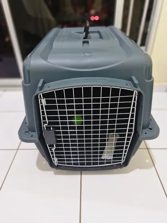 Caixa Transporte Pet - Foto 2