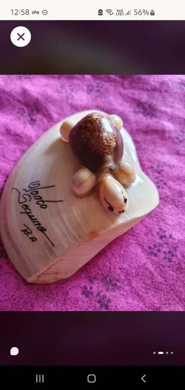 Kit conchas - Foto 2