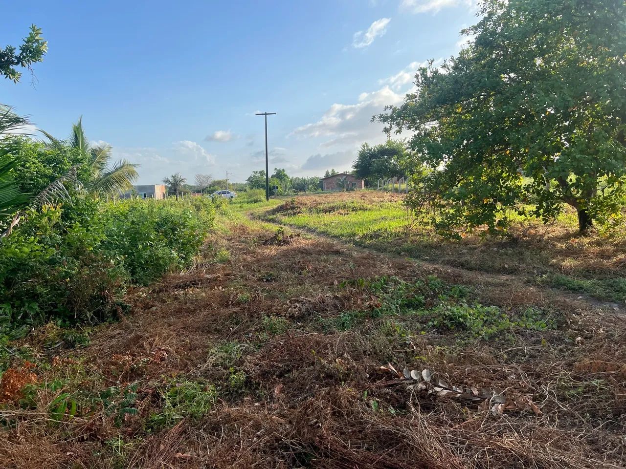 Terreno Mocajituba - Foto 4