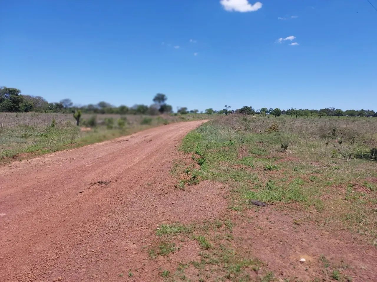 Fazenda Bela vista - Foto 2