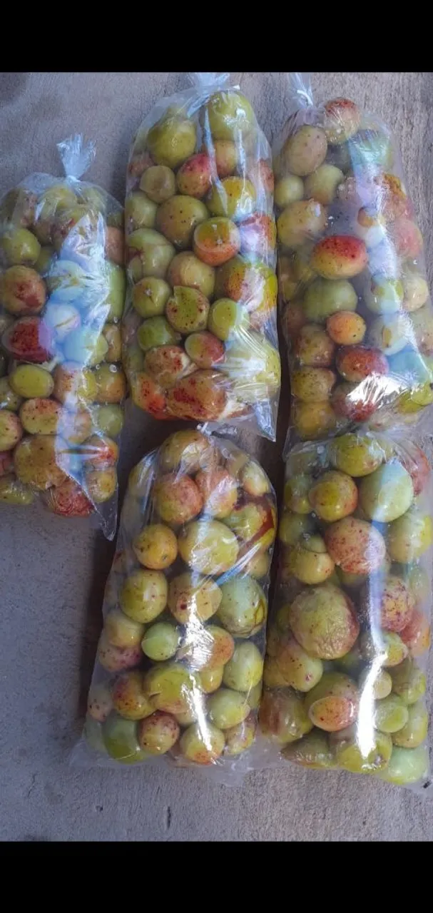 Fruta Mangaba