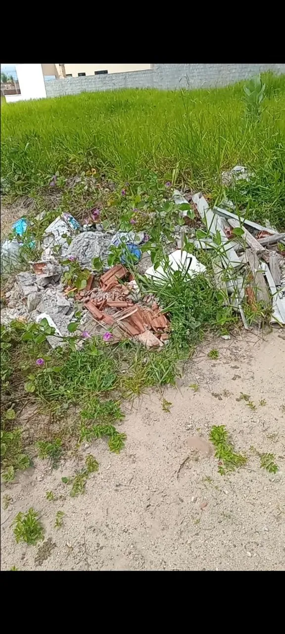 Entulho para Construção Civil