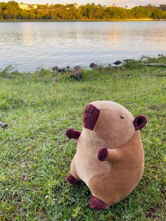 Capivara de tecido plush 25 cm. - Foto 2