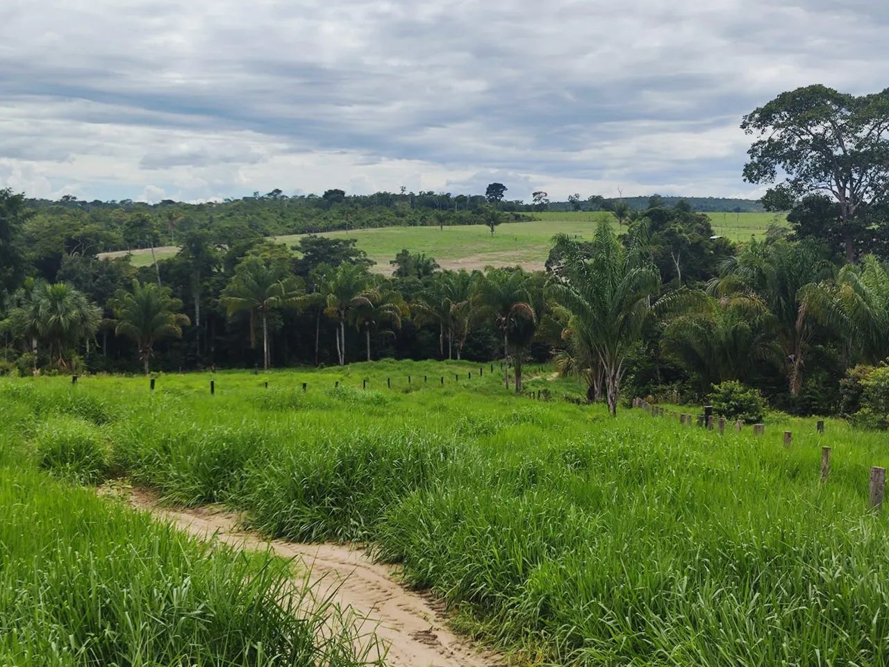 Fazenda 53 alqueires - Foto 5