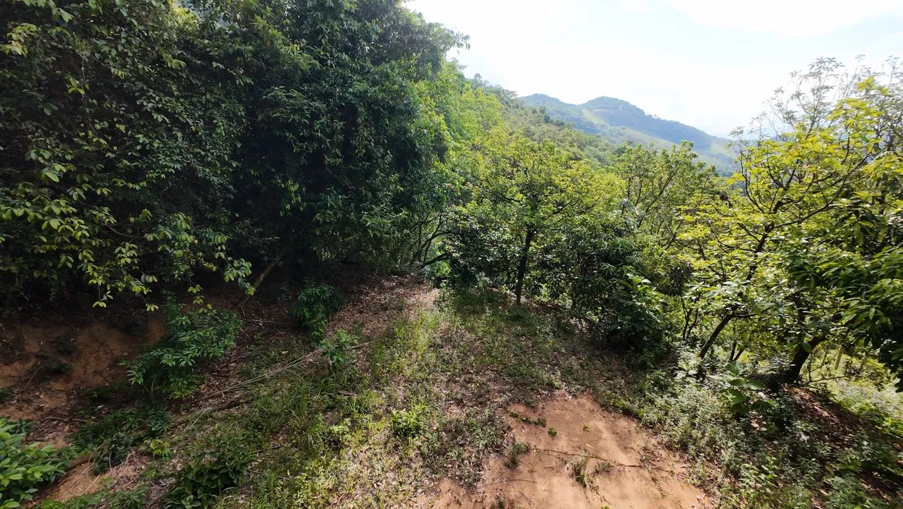 Terreno no Farao de baixo - Cachoeiras de Macacu Rj - Foto 13