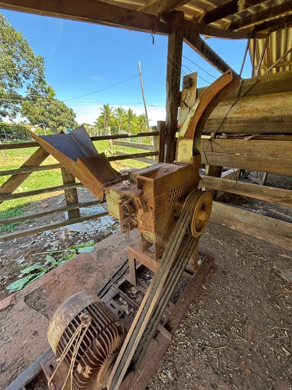 Picadeira de milho e cana Nogueira n° 3 + Trituradeira de cana Nogueira - Foto 2