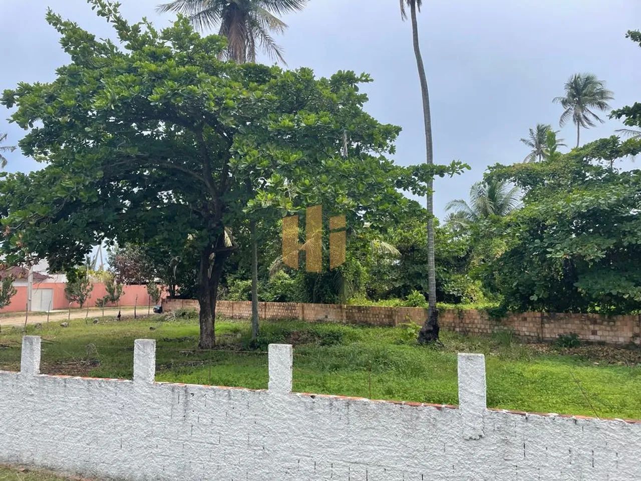 Terreno dos Sonhos à Beira-Mar em Sirinhaém, PE! - Foto 6