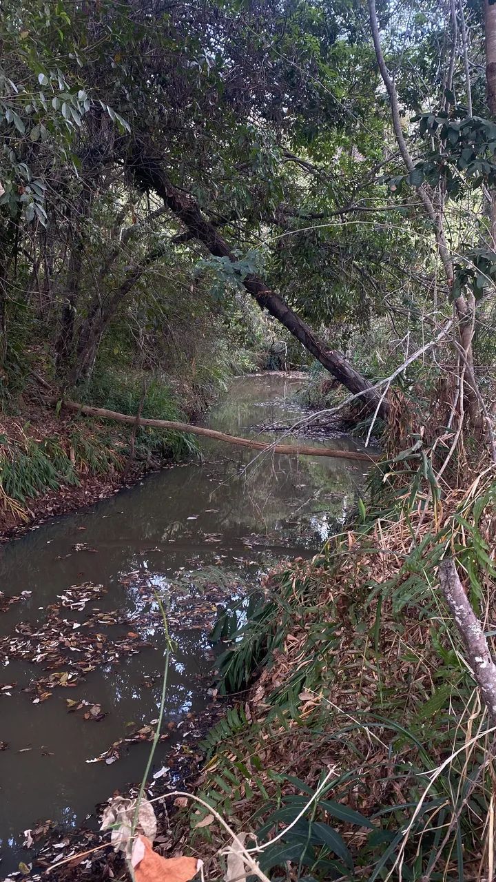 Lote 4.000 metros com água nos fundos  - Foto 2