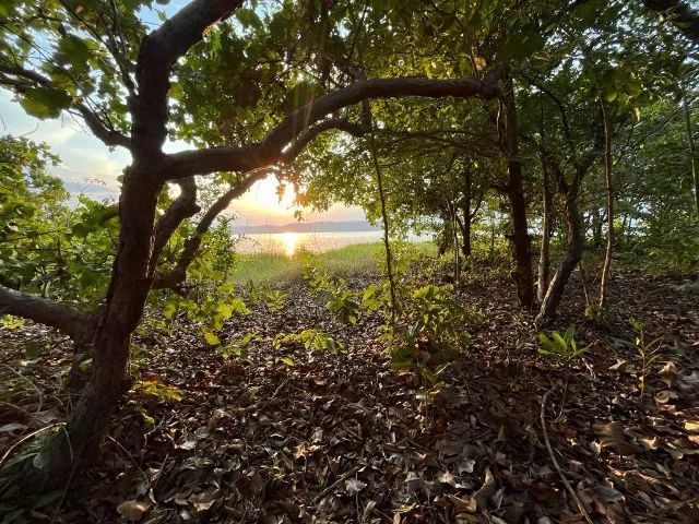Vende-se Chácara à Margem do Lago - KM 31, Sentido Palmas a Lajeado - Palmas/TO - Foto 3