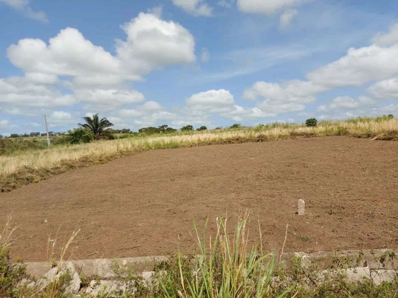 Terreno em Marechal  - Foto 5