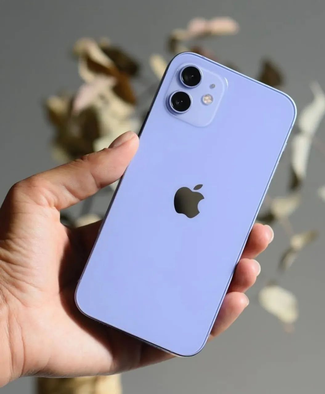 Celular iPhone 12 64GB Open Box Lilas 100%   - Com caixa original Impecável - Garantia 