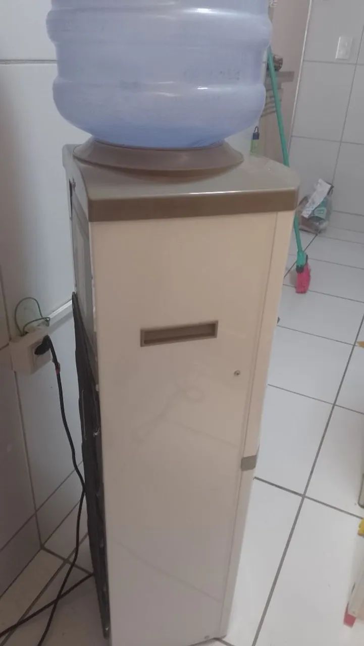 Gelagua de coluna - Foto 3