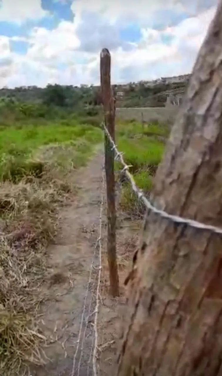Terreno serra velha 25 mil - Foto 4