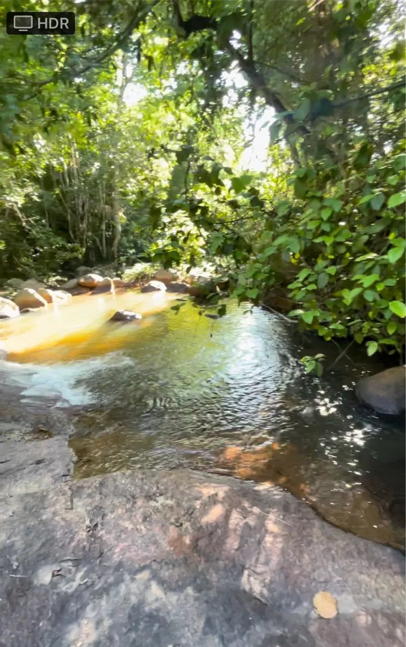 Chácara  100 m de rio água transparente  - Foto 2