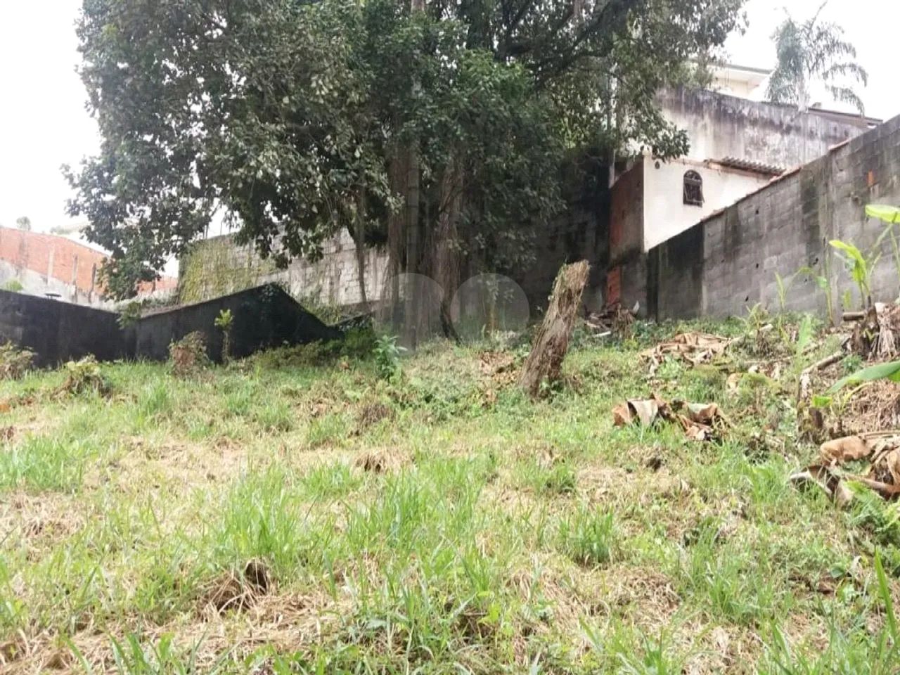 Terreno Residencial em Adalgisa - Foto 4