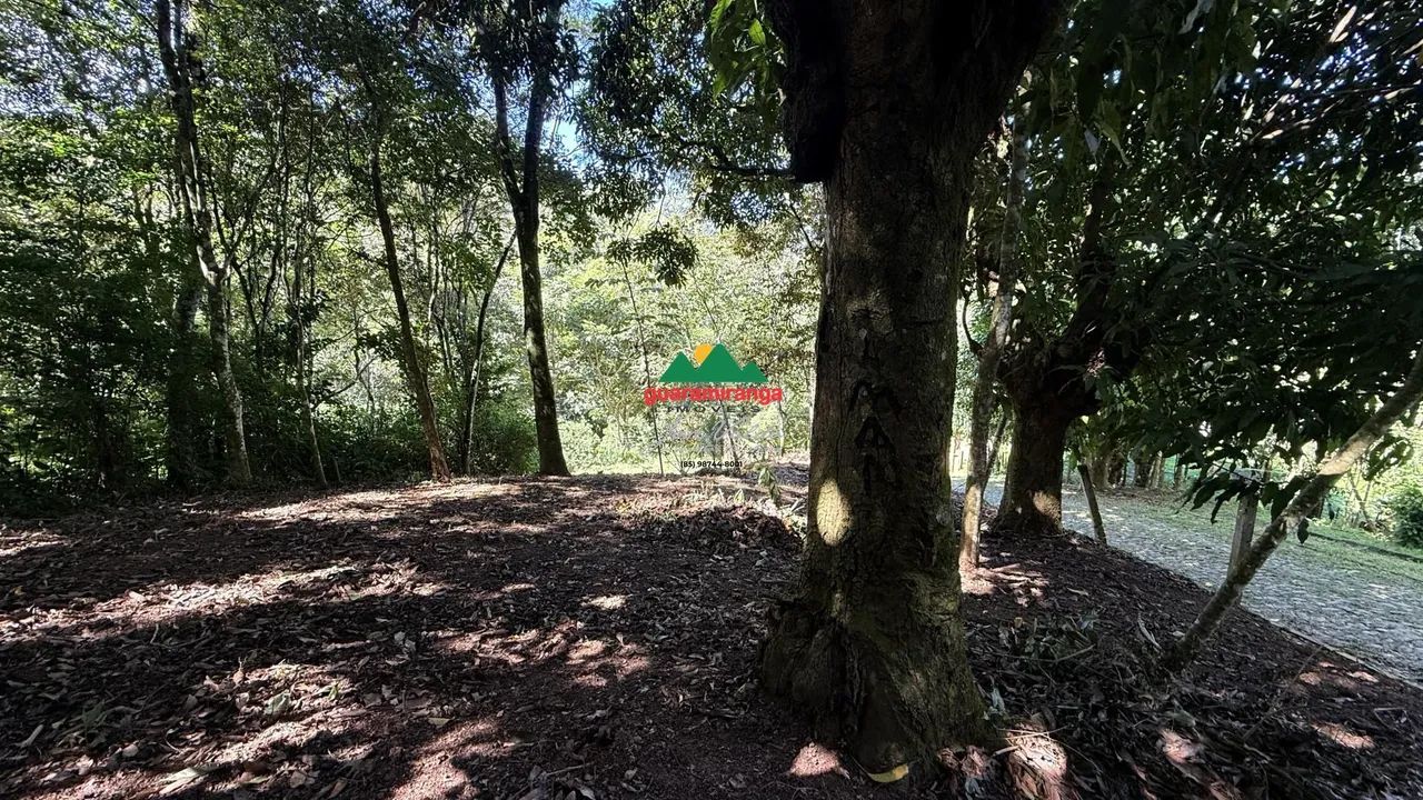 338,97 m² de tranquilidade, natureza e qualidade de vida, em uma região privil - Foto 5