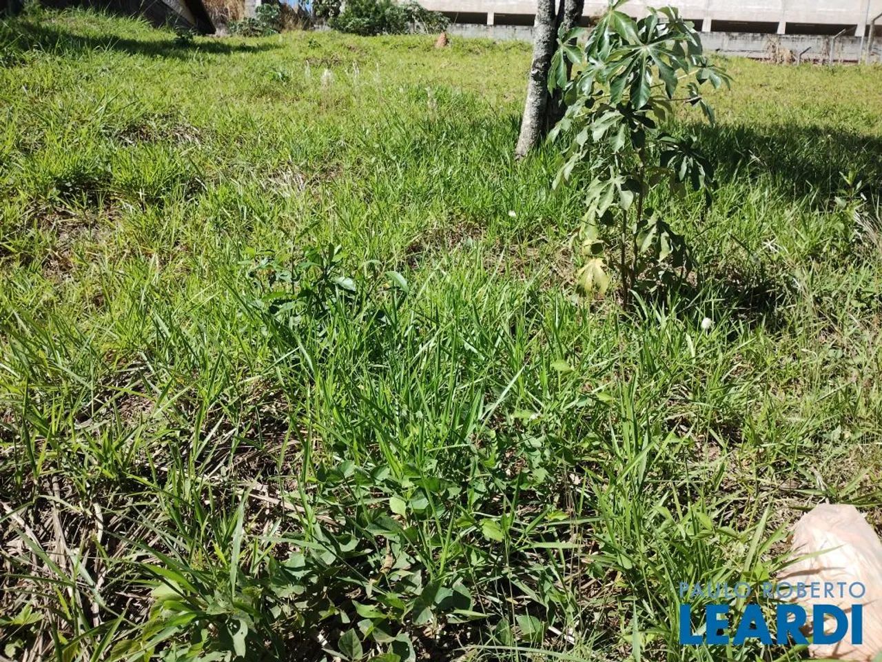 TERRENO - CHÁCARAS SILVANIA - SP - Foto 5