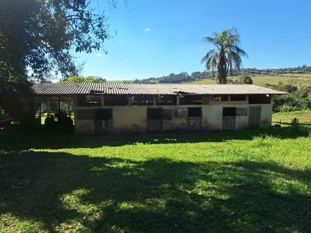  Haras Duas Lagoas - Foto 2