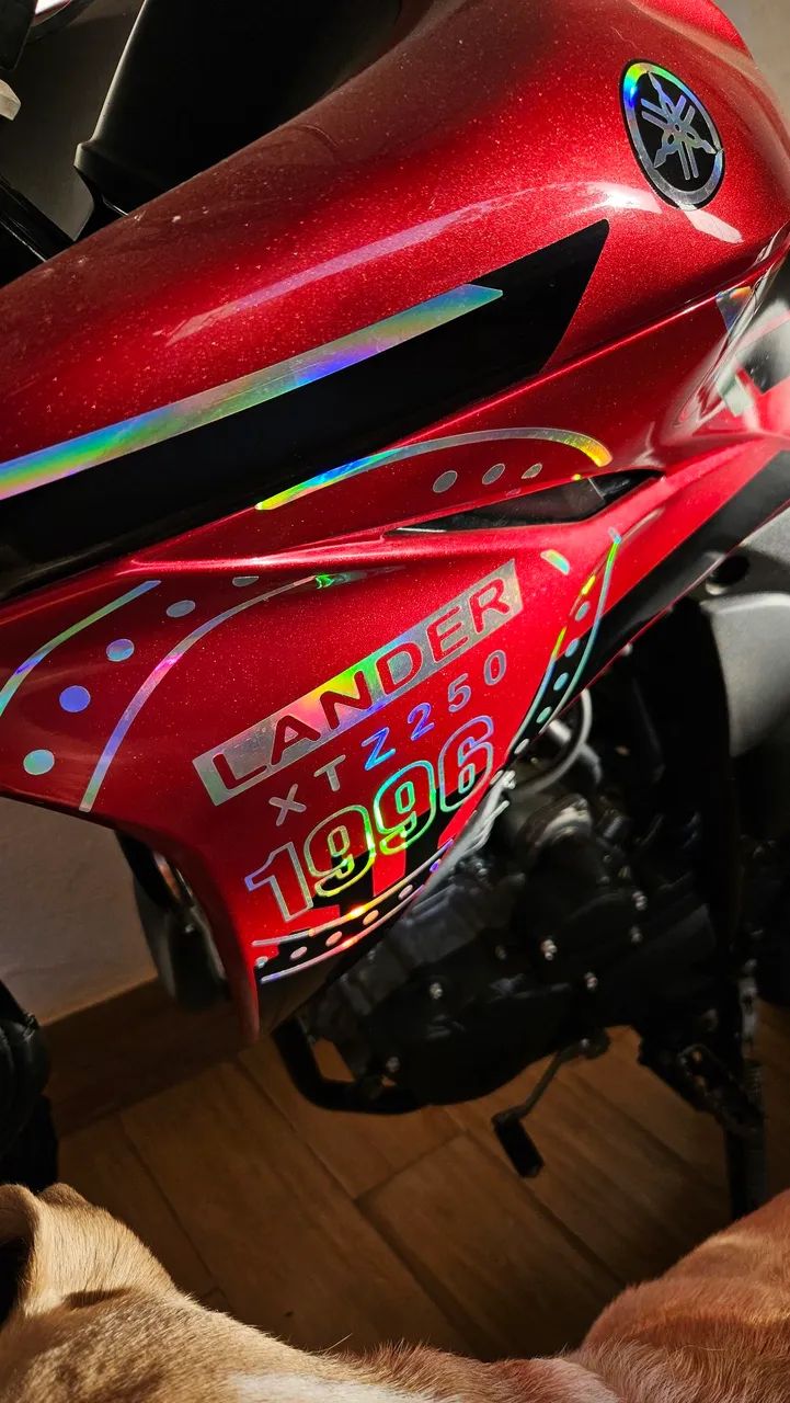 Lander 2024 - Foto 3