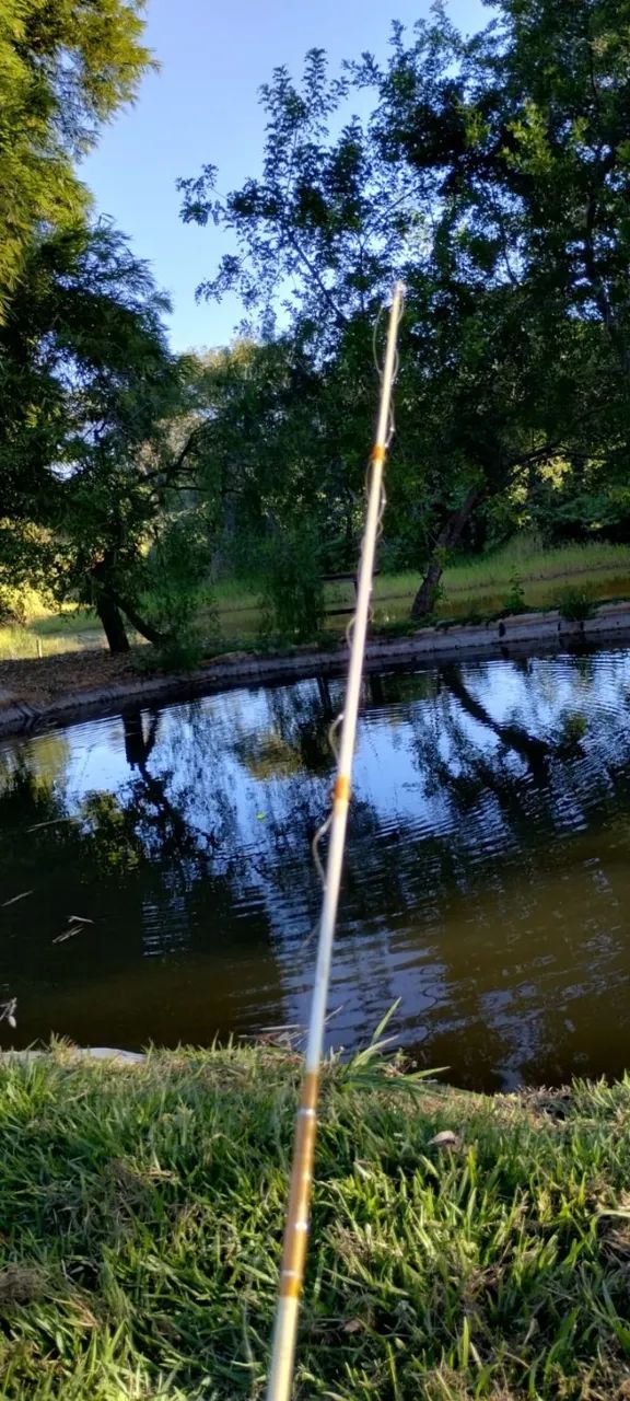 Chácara próxima a Anápolis e Campo Limpo !!! - Foto 3