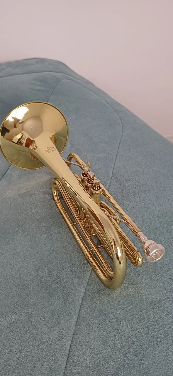 VENDO TROMBONITO  - Foto 5