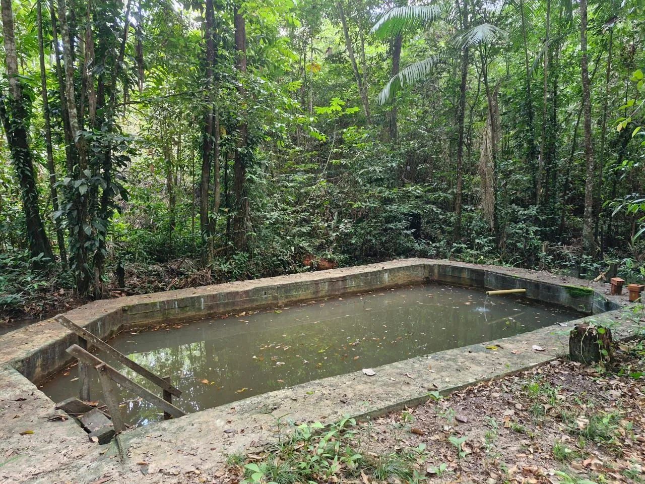 Vendo Sítio no Ramal Ninive ( alça Viária) com Igarape  - Foto 3