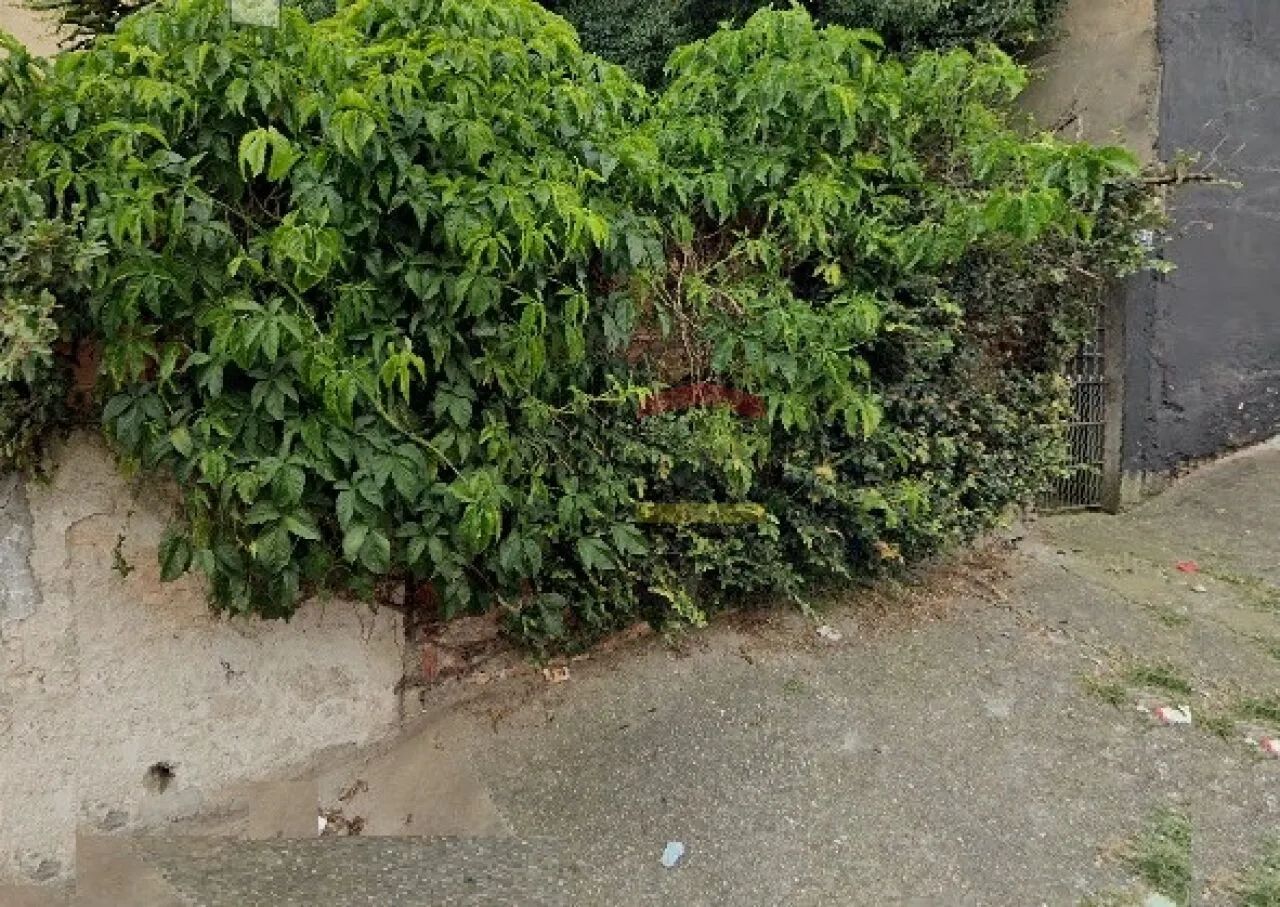 Terreno - Vila Ede - São Paulo - SP - Foto 2
