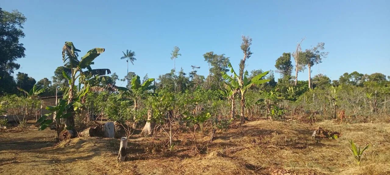 Verde-se uma lindo sítio  - Foto 2