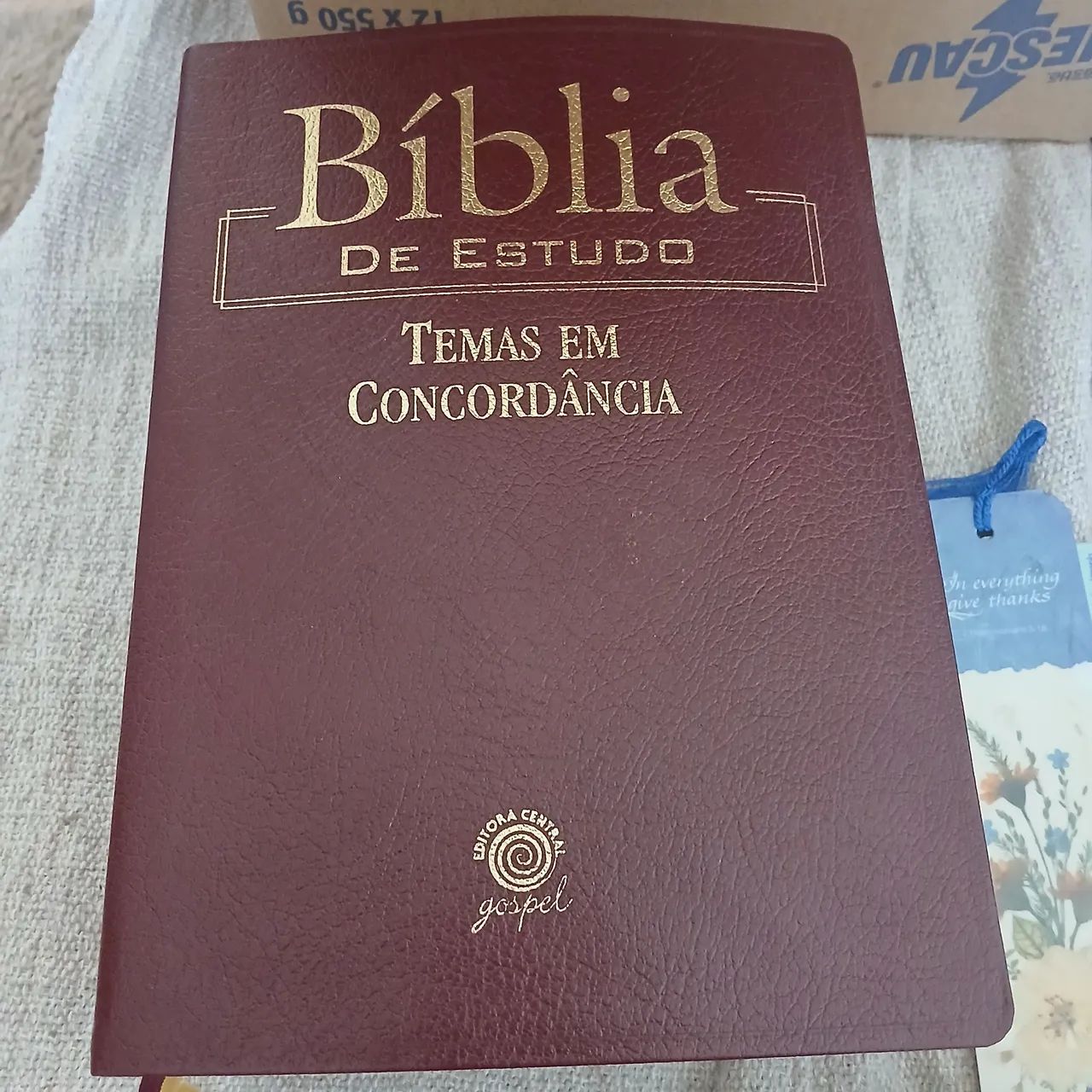 Biblia de estudo Temas em concordancia