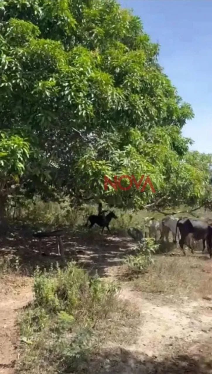 Fazenda com 170 tarefas em Riachão do Dantas