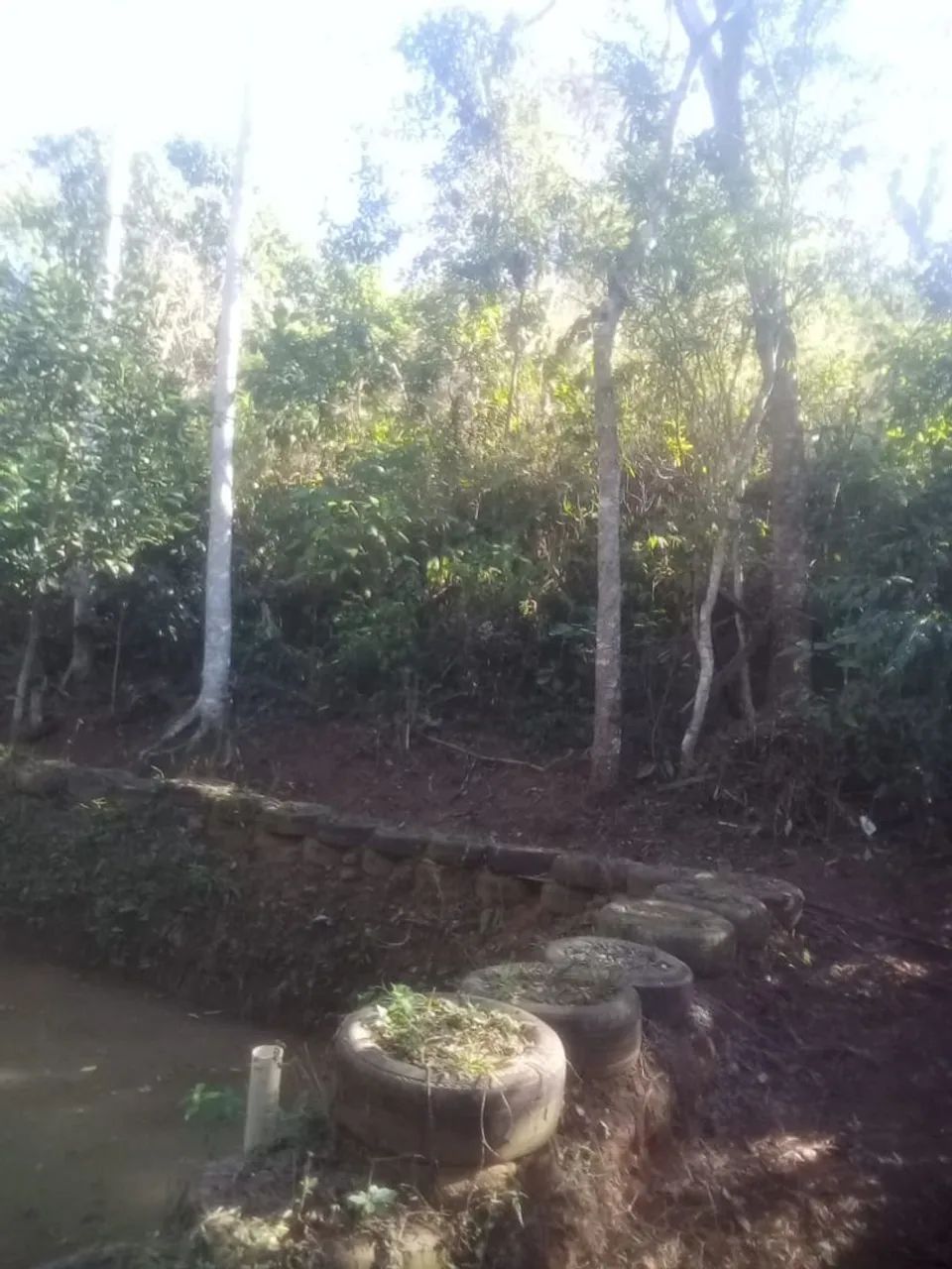 Vendo casa com terreno amplo - Foto 5