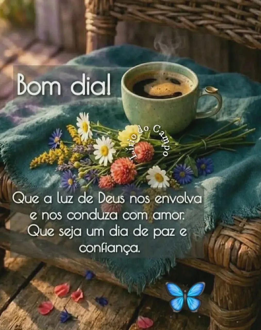 Precisa de cuidadora 