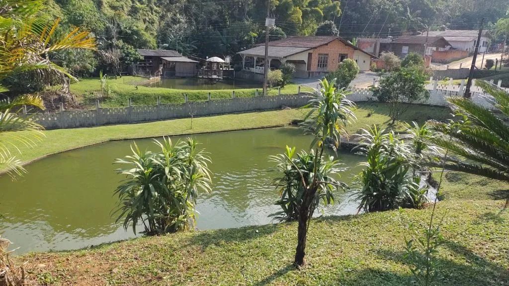 Sítio | Venda | Margem Esquerda - Foto 2