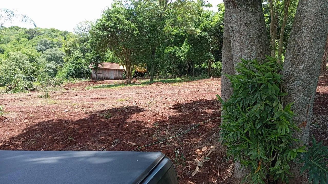 Sítio em São Pedro (12 Alqueires) - Foto 5