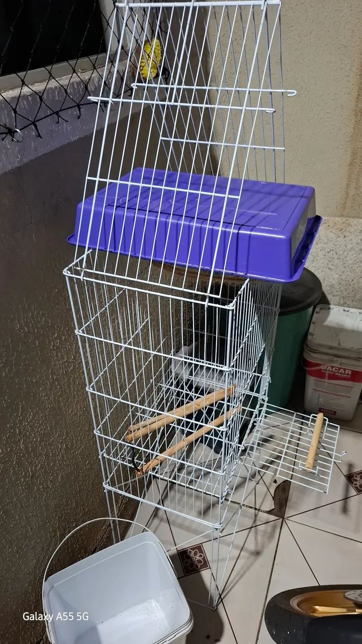 Viveiro calopsita papagaio periquito 