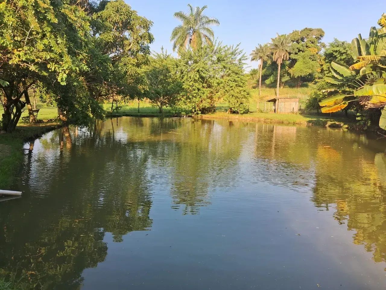 Excelente Sítio para lazer e produção à 20 minutos do centro de Itaboraí - Foto 2