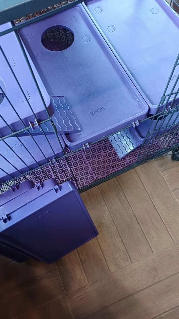 Gaiola Roedor  - Foto 5