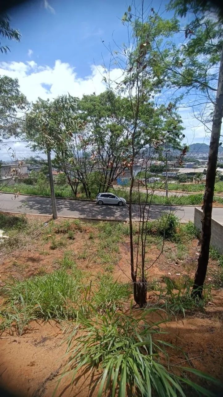Terreno a venda em jardim América  - Foto 8