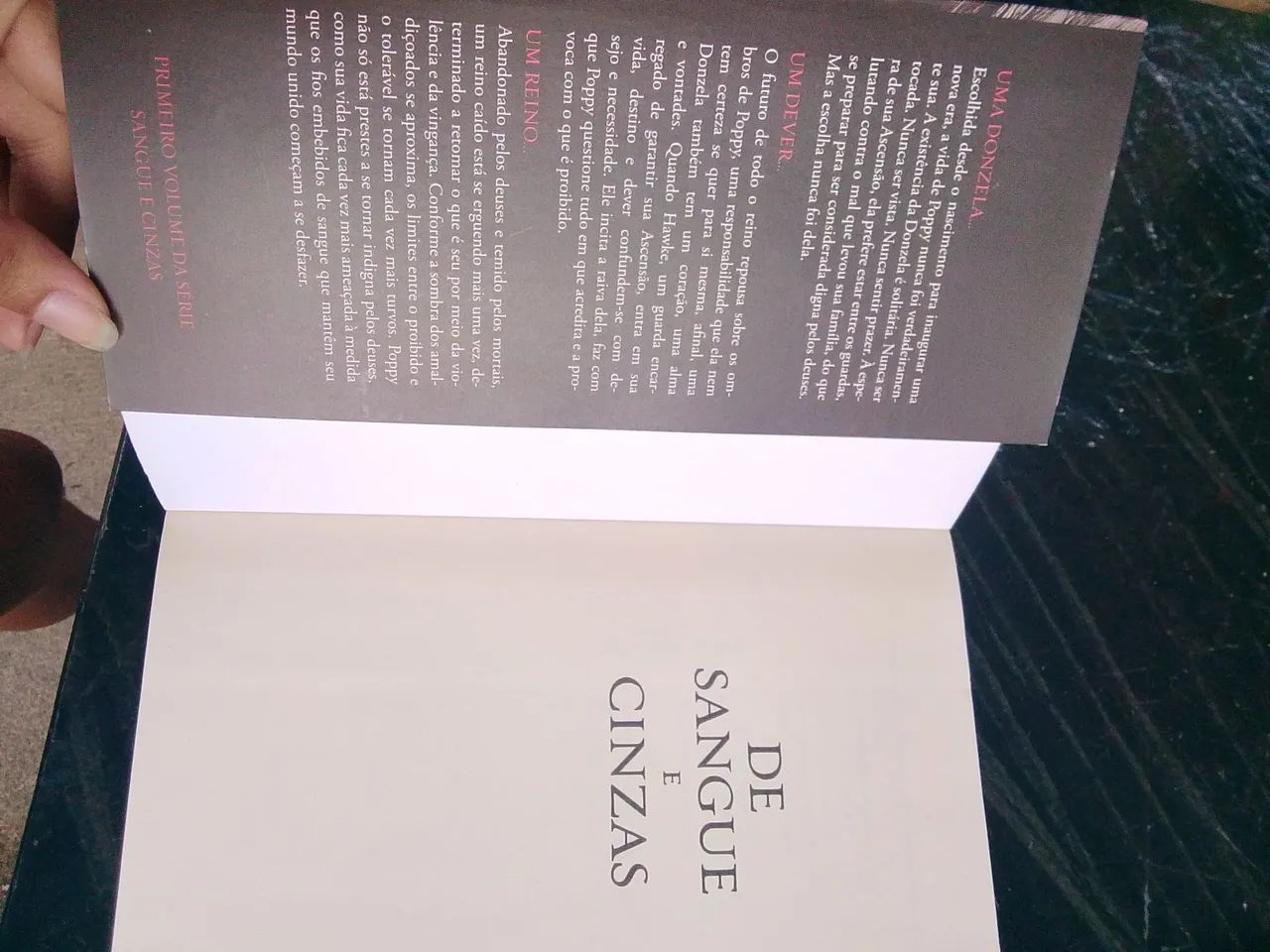 De sangue e cinzas volume 1 - livro dark romance  - Foto 4