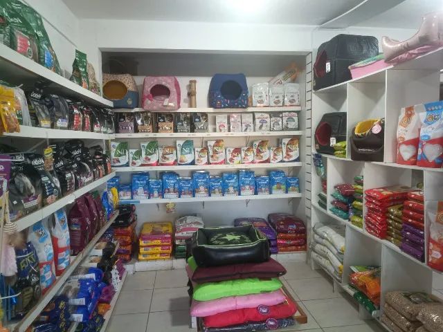 Agropecuária em Canasvieiras - Foto 3