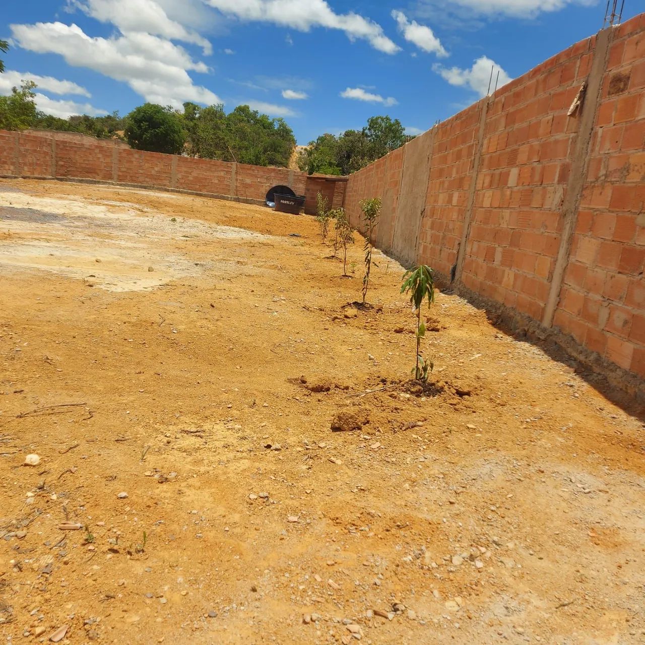 Lote  - Foto 2