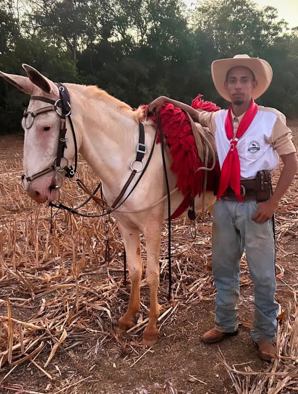 BURRO RE PATRÃO 3 ANOS  - Foto 2