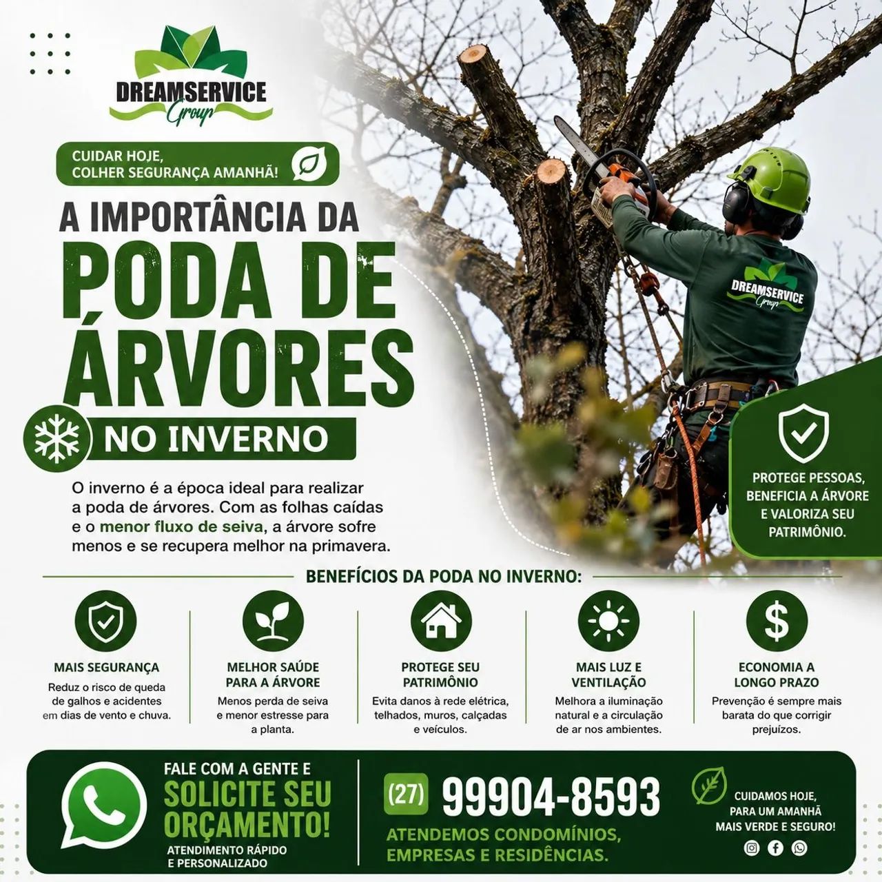 poda de árvores, limpeza de terreno, lote