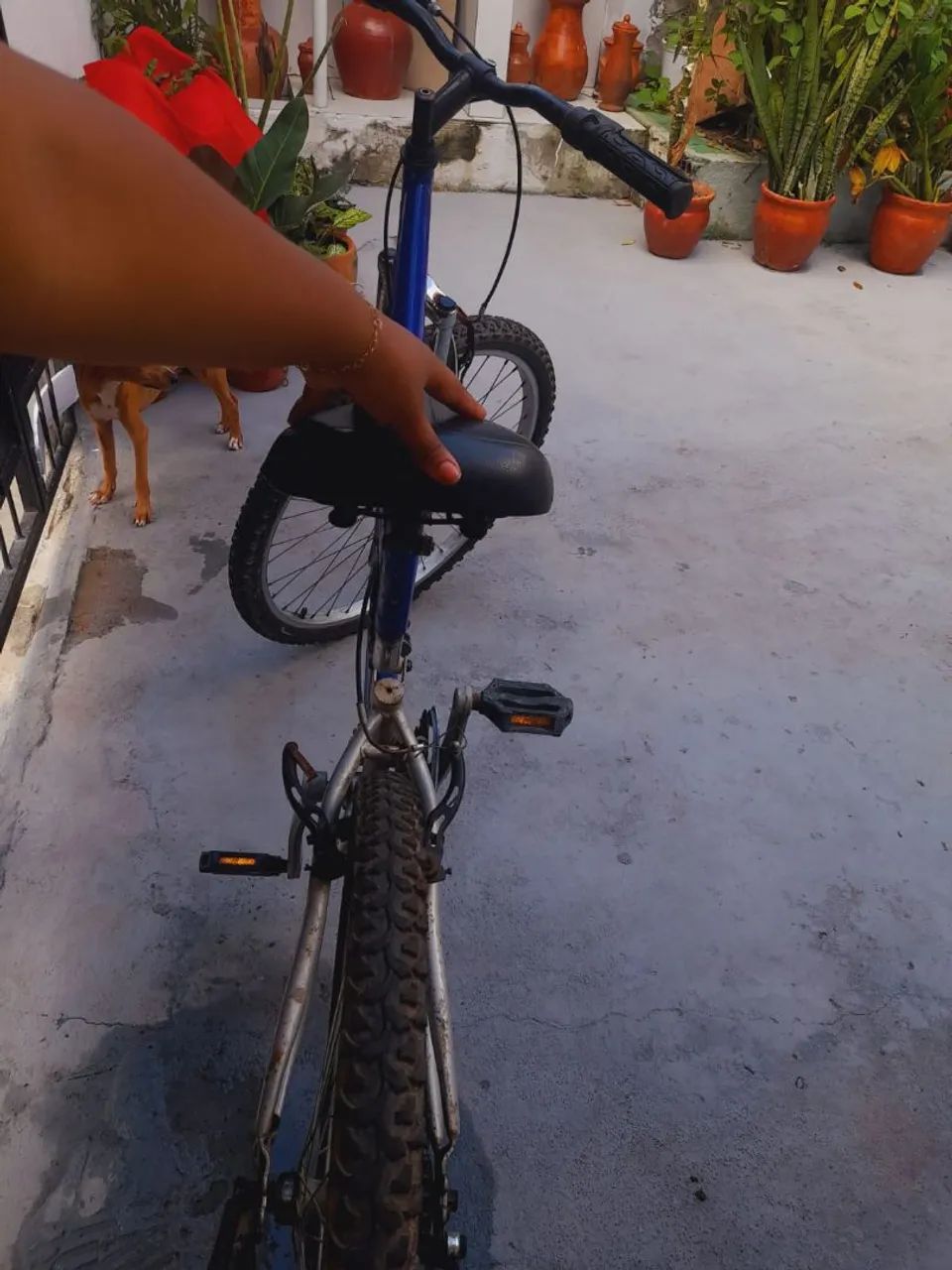Bicicleta  - Foto 4